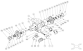 TLGLF3C Diagram.PNG